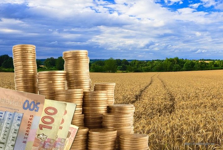 Оценка земельного участка для ведения товарного сельскохозяйственного производства (земельные паи)