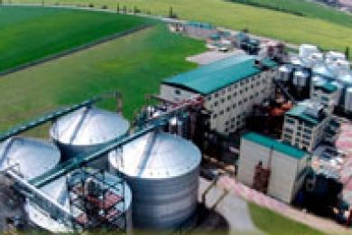 Оцінка цілісних майнових комплексів, паїв